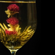 Prosperity Dreams Blossoming Tea from Bird Pick Tea & Herb