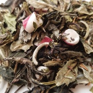 Candy Cane White Tea from 52teas