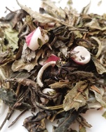 Candy Cane White Tea from 52teas