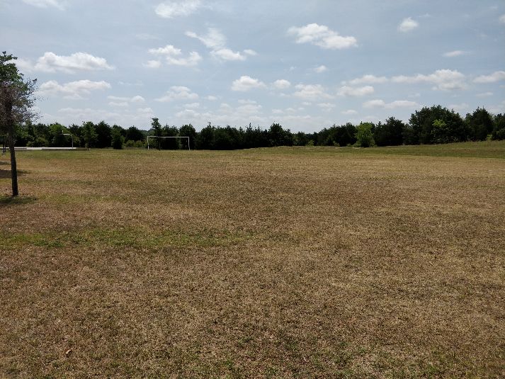 Field