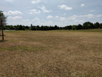 Field