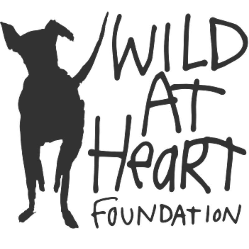 Wild At Heart Foundation logo
