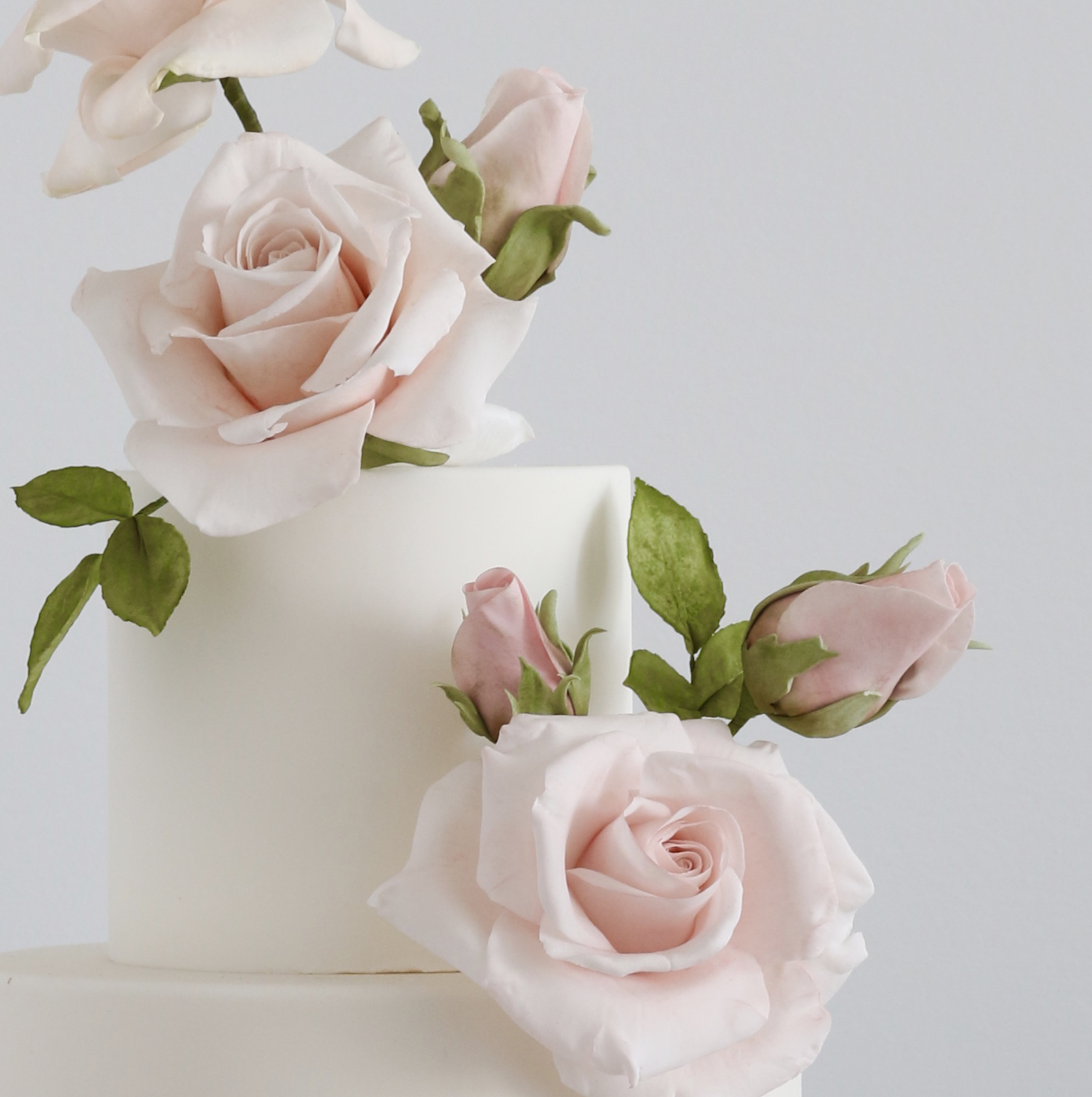 Classic Sugar Rose Zo Clark Cakes Online School