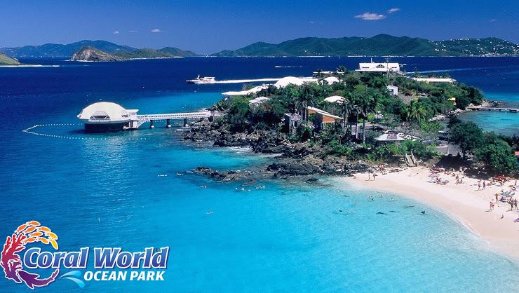Explore Coral World Ocean Park at St. Thomas, USVI - Charlotte Amalie