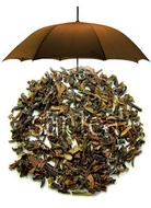 Darjeeling from Stir Tea