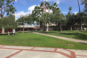 Quad