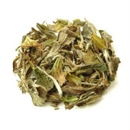 White Peony from Tea Palace