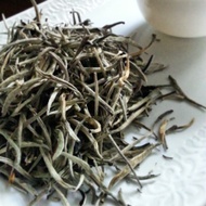 Ceylon White Tea - Silver Tips from Humble Yogini Tea Co.