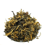 Kumari Gold from Trident Booksellers and Cafe Boulder Colorado
