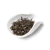 Darjeeling Gopaldhara Wonder Gold from Čajový Dom