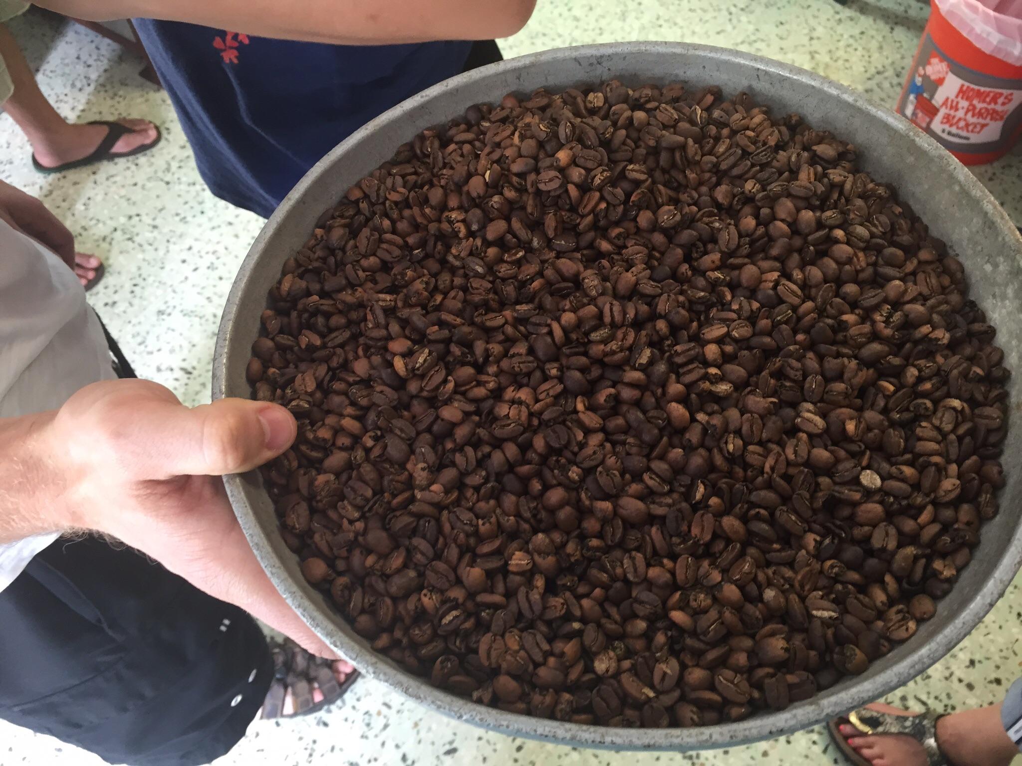 Semi-Private Coffee Plantation Tour ☕️ tour photo 6