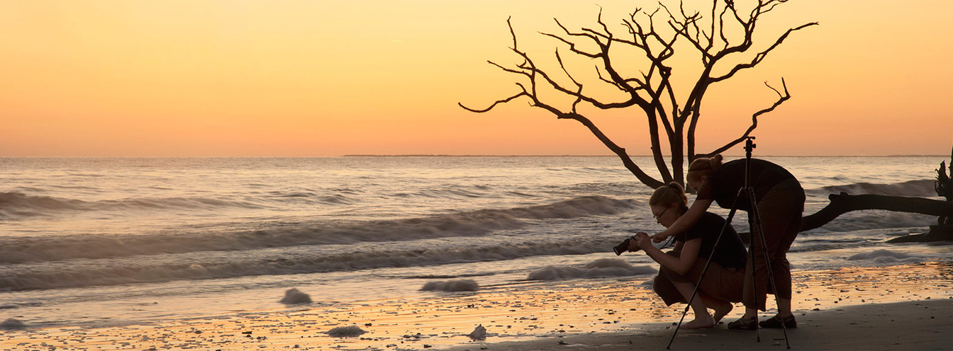 Lowcountry Southern Charm Tour photo 1