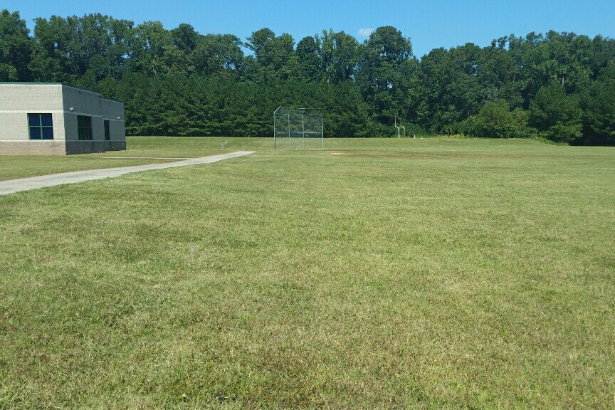  Field