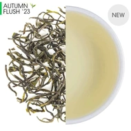 Glendale Autumn Twirl Green from Teabox