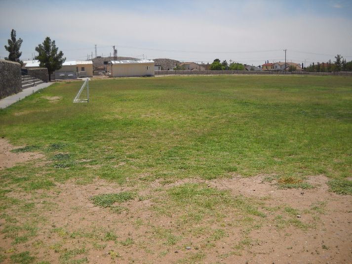 Playfield