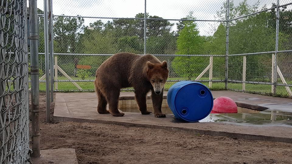 Tour of Elmira's WIldlife Sanctuary photo 1