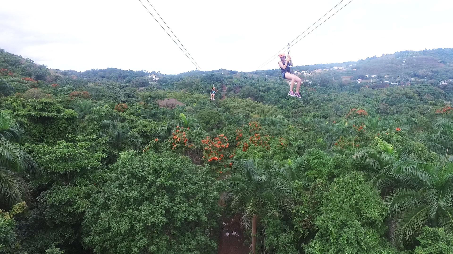 Thrilling Zipline Canopy Tour in Carolina, Puerto Rico - San Juan