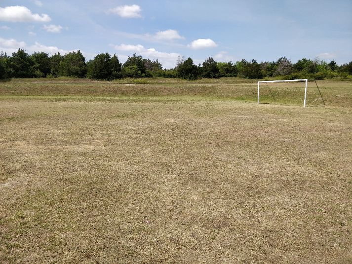 Field