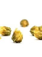 Dried Chrysanthemum Buds (Tai Ju) Herbal Tea from Teavivre