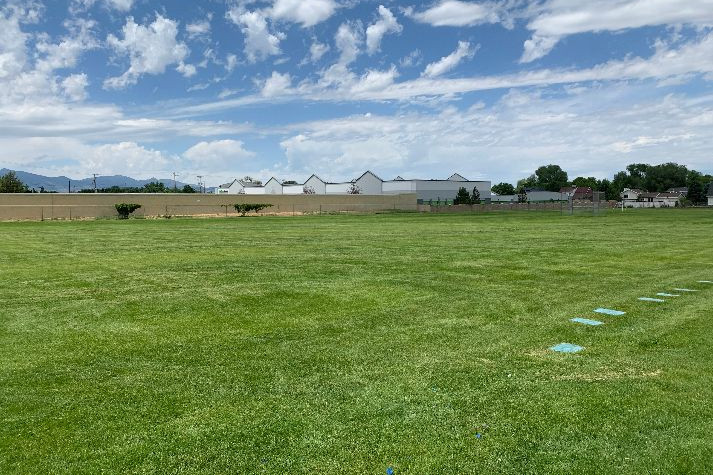 Fields