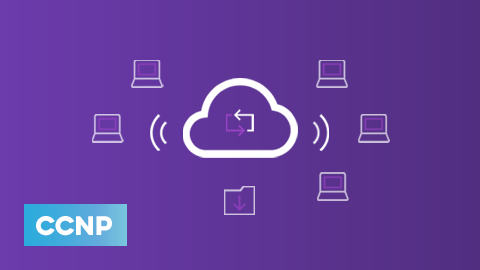Introduction to mpls