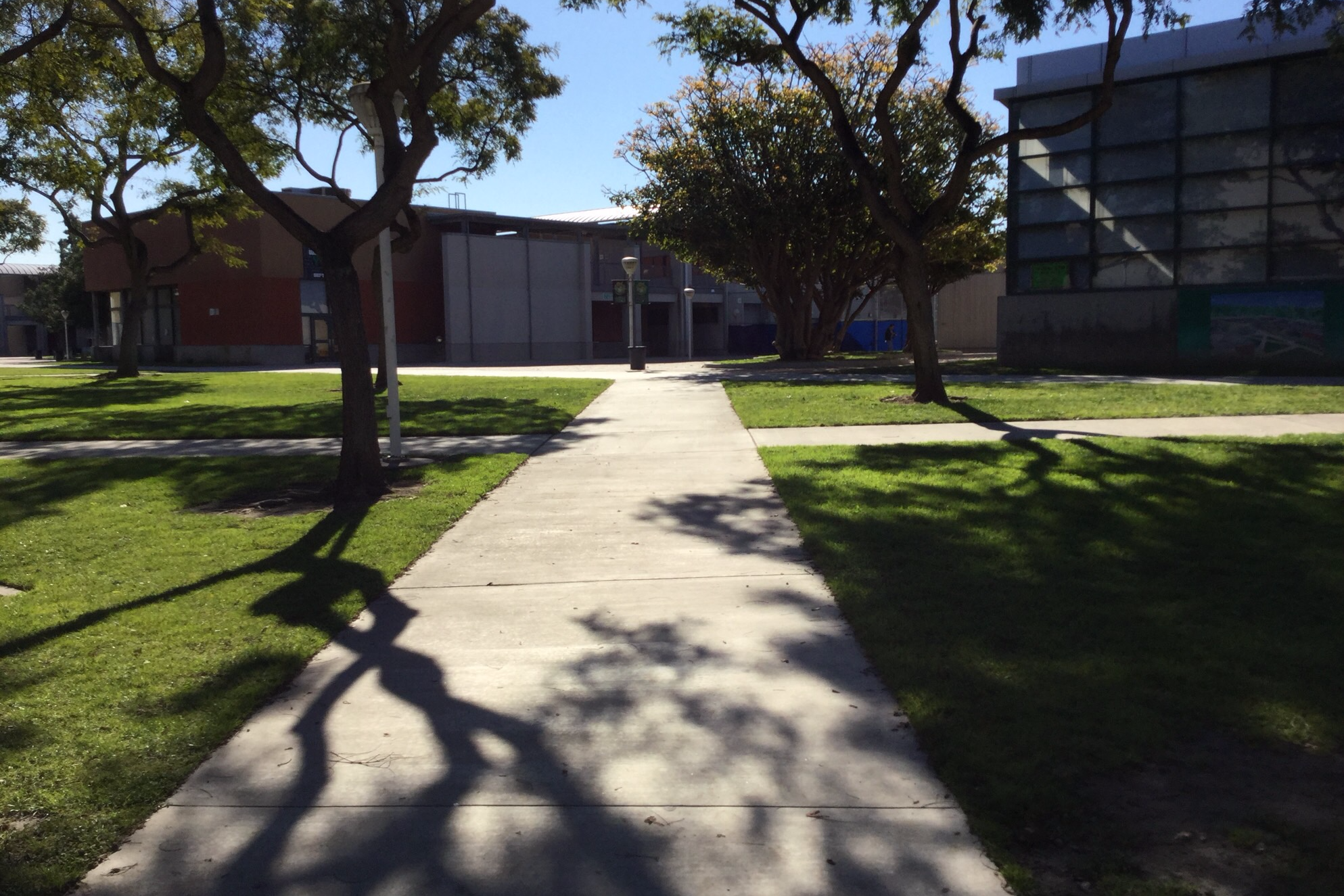 Quad