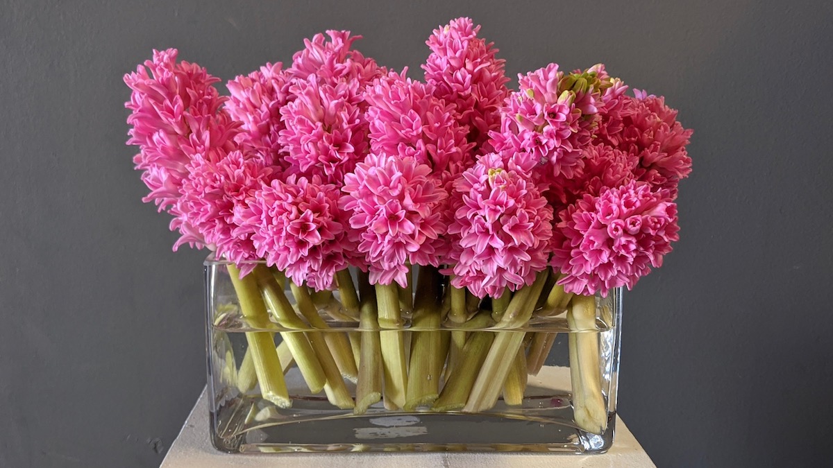 Flower Fridays: Simply Pink