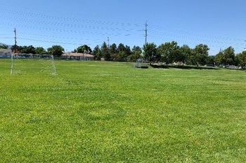 Fields