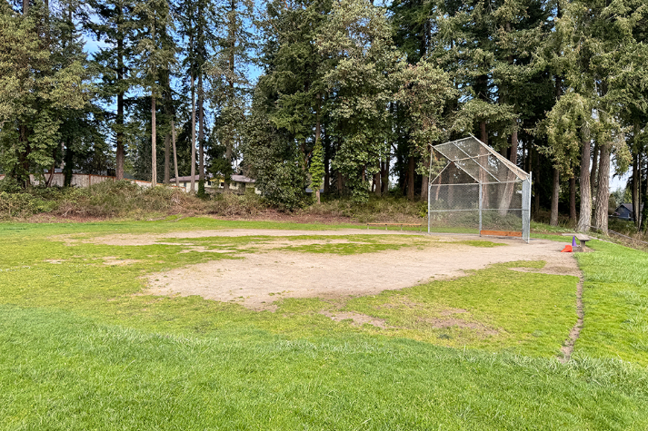 Baseball Field Grass