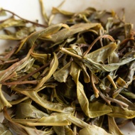 2018 Spring EoT 10 Year Anniversary Yiwu from The Essence of Tea