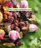 Kiwi Melon Crush from Steeped Tea