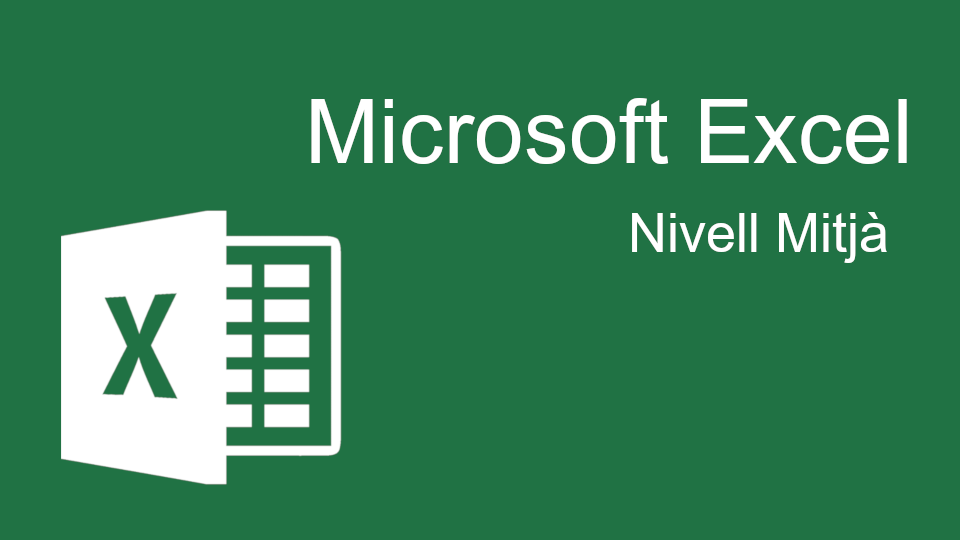 Product image for Excel nivell mitjà
