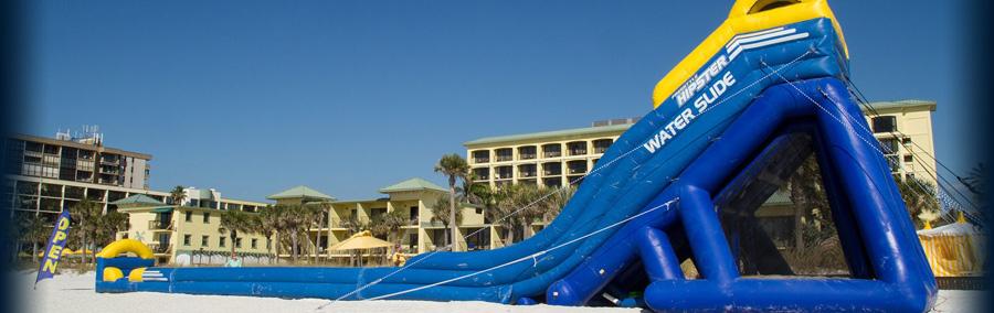 Post Card Inn SDI Dolphin Tour photo 1