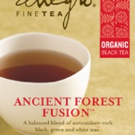 Ancient Forest Fusion from Allegro Tea