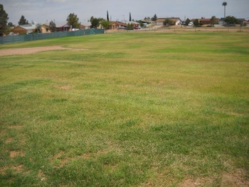 Playfield