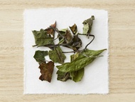 Huang Meigui from Song Tea & Ceramics