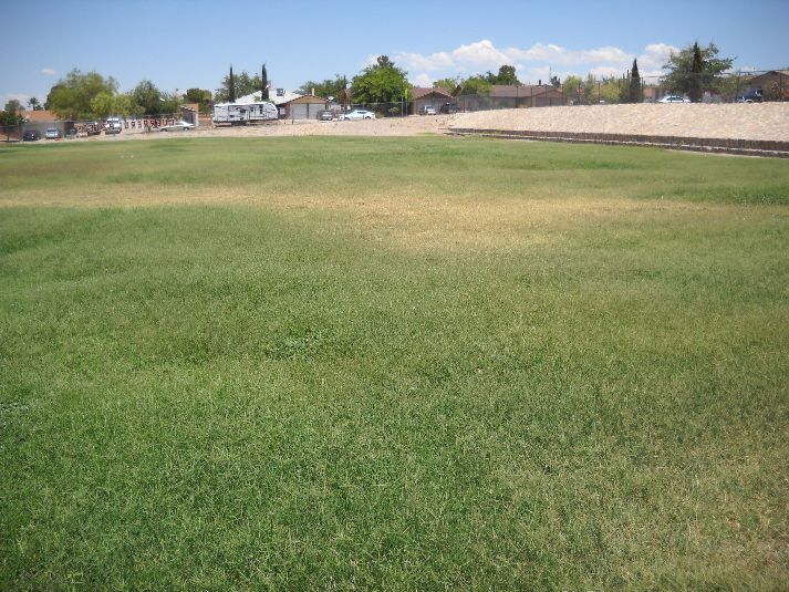 Playfield