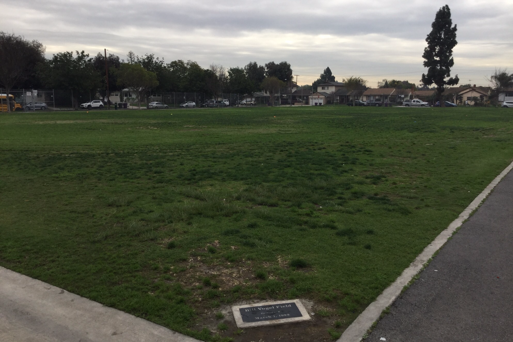 Field