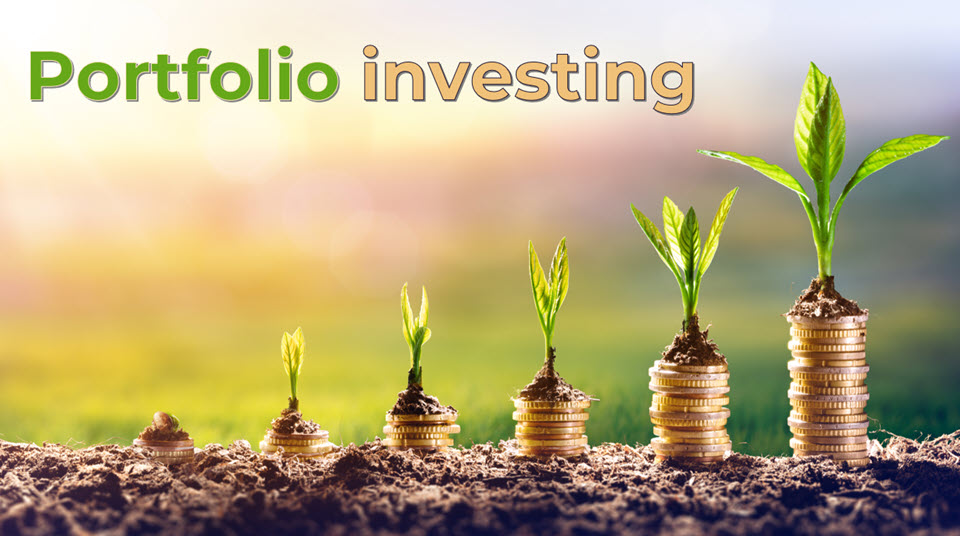 Product image for Portfolio Investing