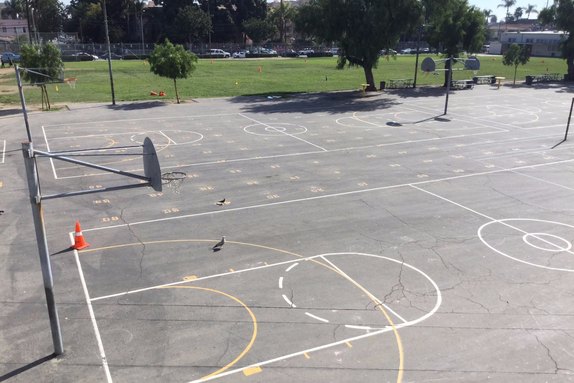 Basketball Courts Outdoor