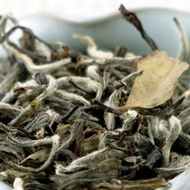 Xin Gong Yi (New Craft) from Red Blossom Tea Company