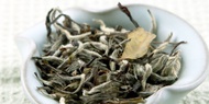 Xin Gong Yi (New Craft) from Red Blossom Tea Company