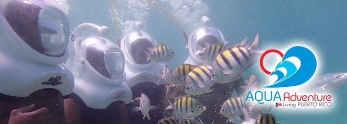 Discover Sea Trek Adventure in San Juan, Puerto Rico - San Juan