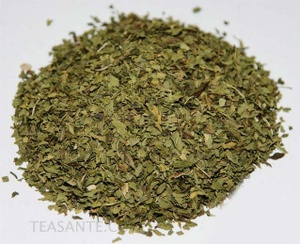 Spearmint