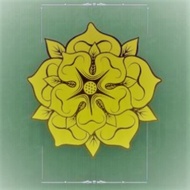 Highgarden from 52teas
