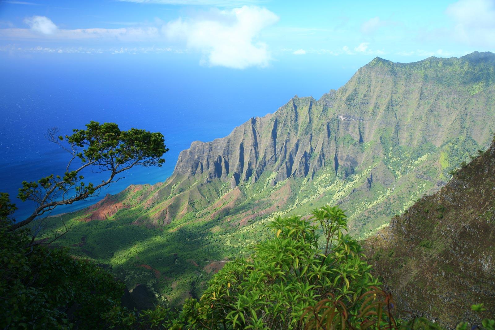 The Kauai Experience