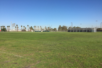 Field - A