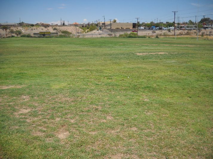 Playfield