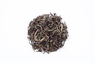 Silver Tips Green Tea By Golden Tips Teas from Golden Tips Teas