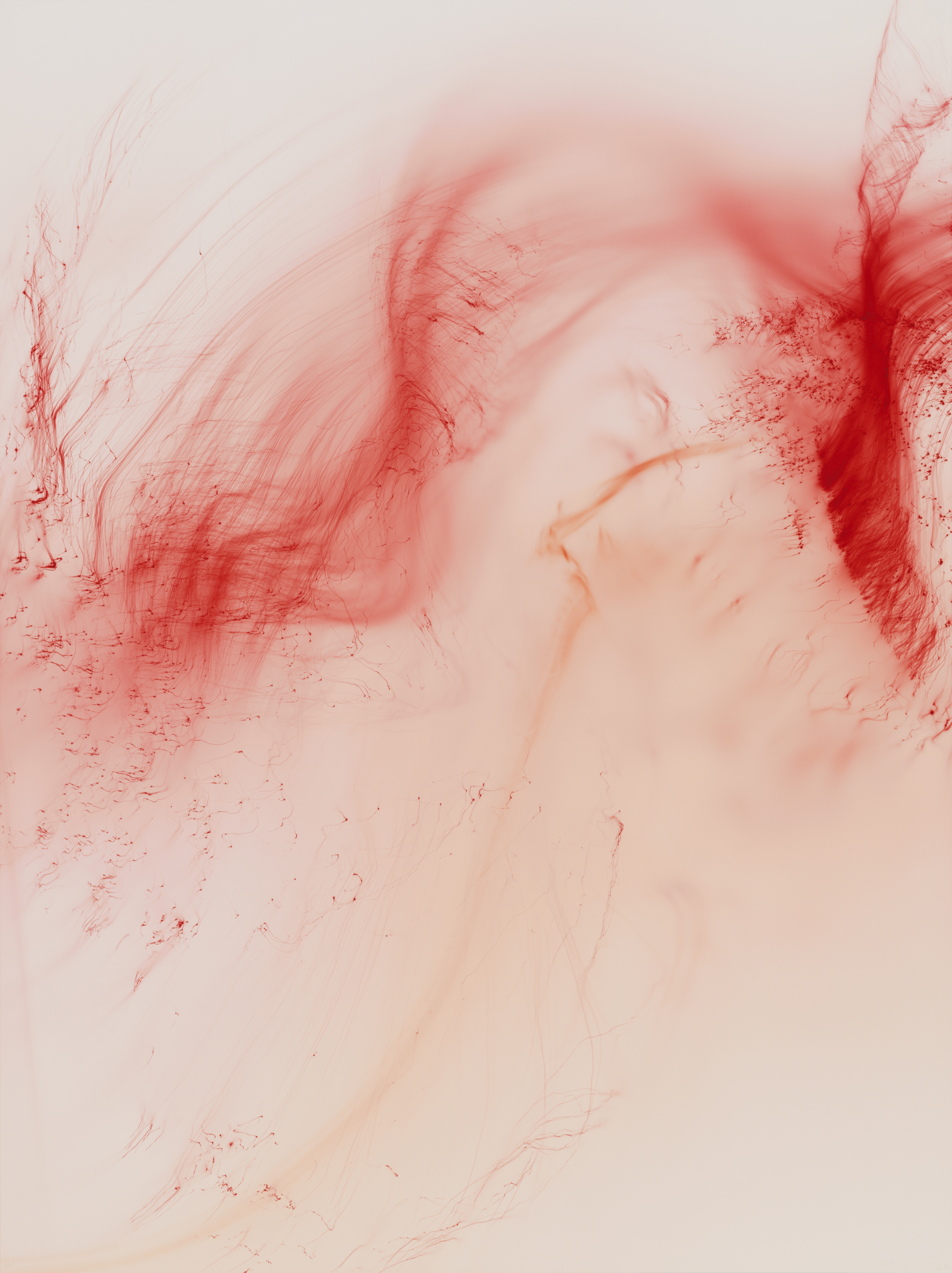 洋書 Wolfgang Tillmans Freischwimmer Wolfgang Tillmans Germany Freischwimmer 230 (Free Swimmer